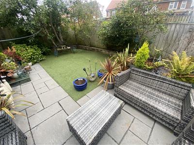 Picture 14